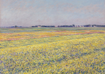 Sunlit Meadow Panorama