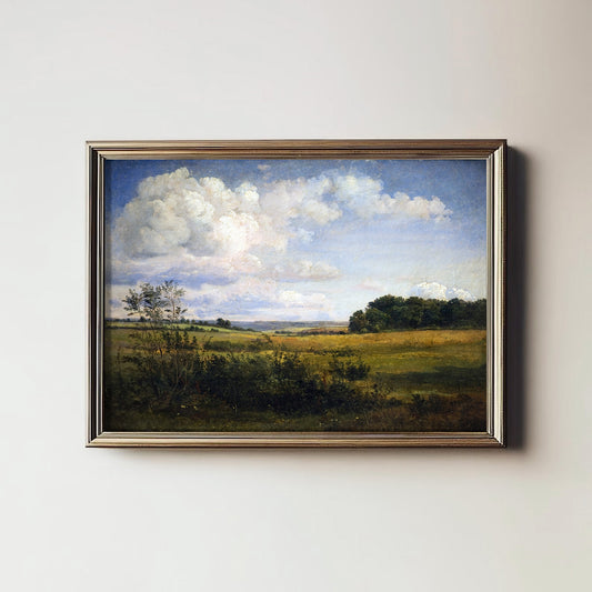 Cloudy Summer Meadow