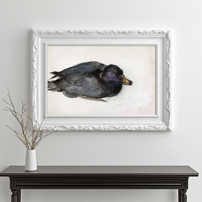 Mysterious Waterfowl Portrait