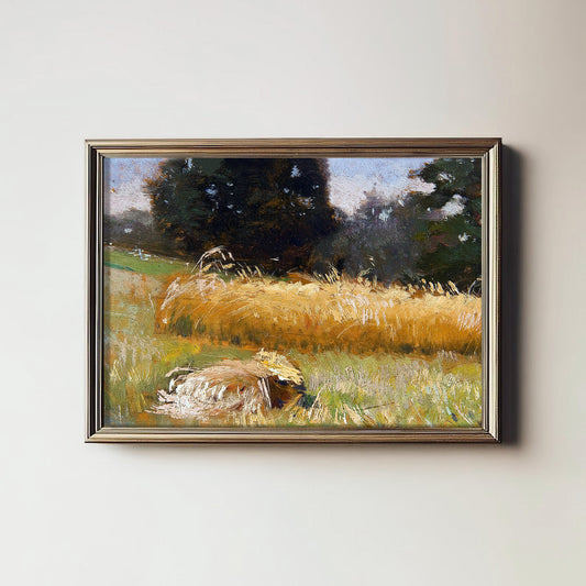 Golden Harvest Fields