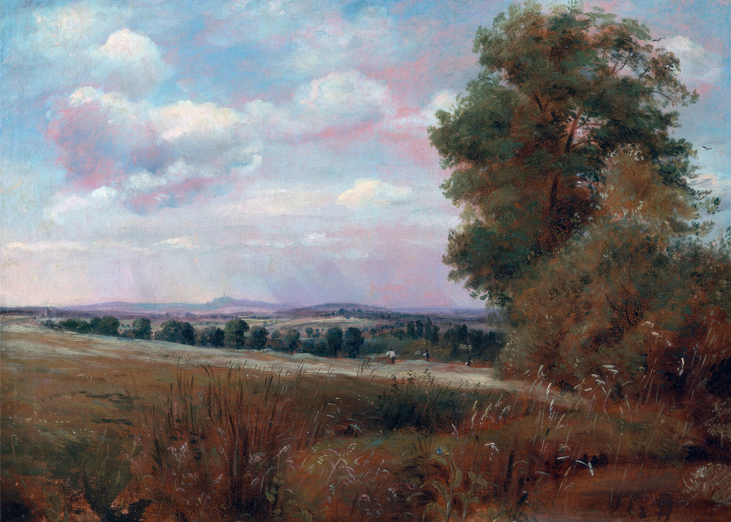Tranquil Horizon
