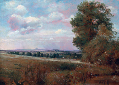 Tranquil Horizon