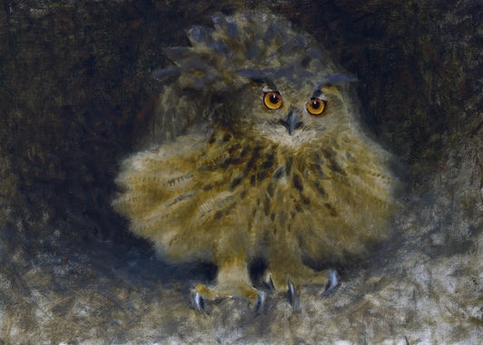 Mystic Owl Glance