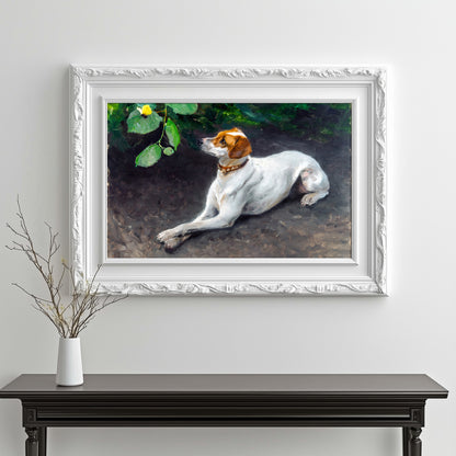 Contemplative Dog