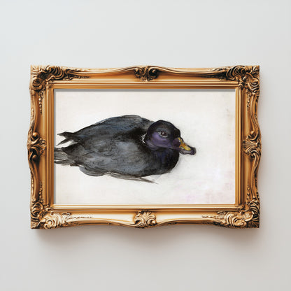 Mysterious Waterfowl Portrait