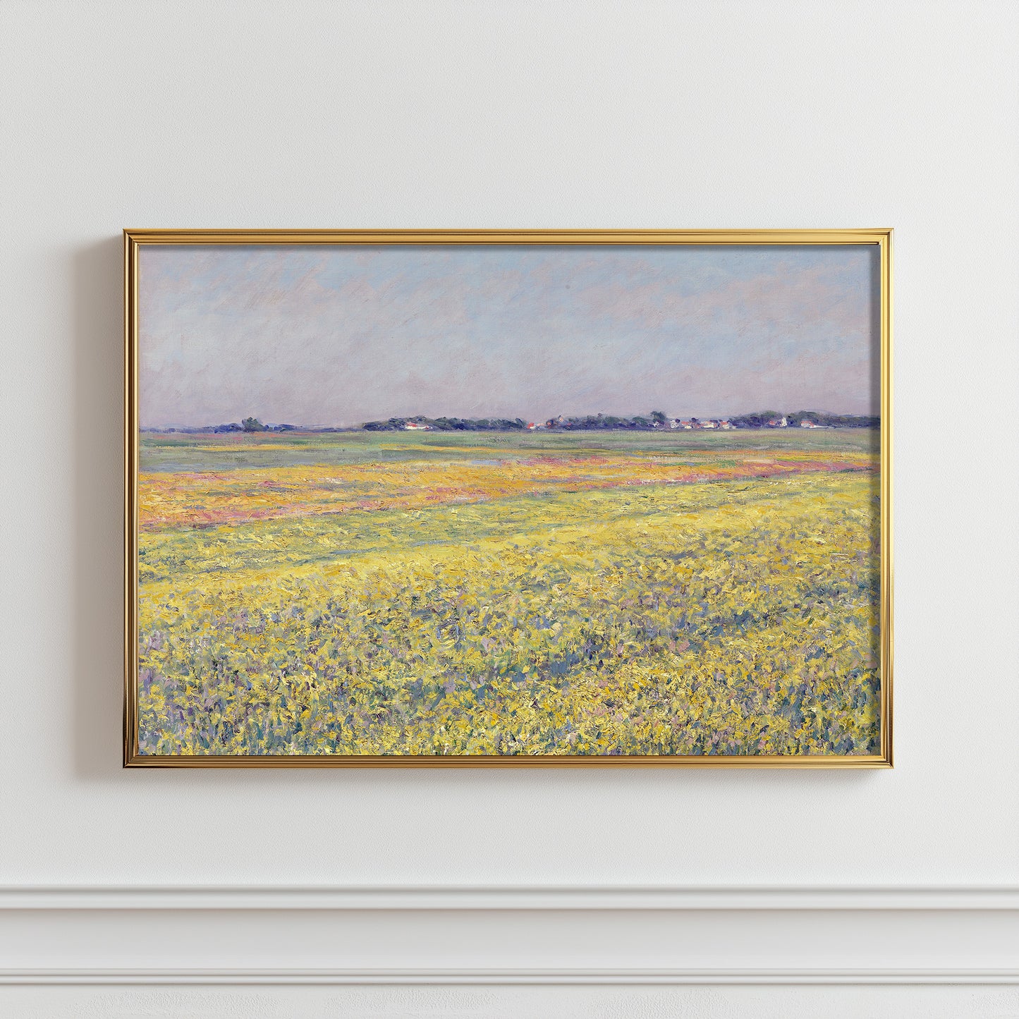 Sunlit Meadow Panorama