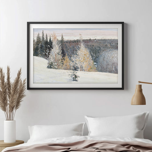 Winter's Quiet Embrace