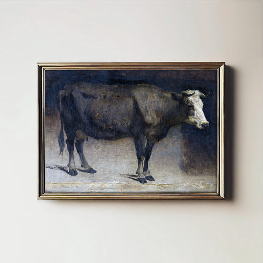 Stoic Bovine Portrait