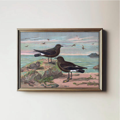 Seaside Avian Harmony