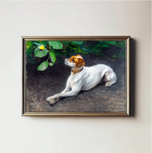 Contemplative Dog