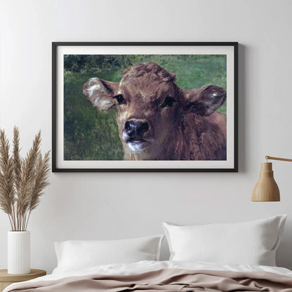 Gentle Gaze Calf