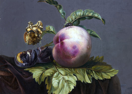 Peach and Insect Harmony