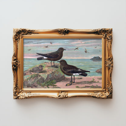 Seaside Avian Harmony